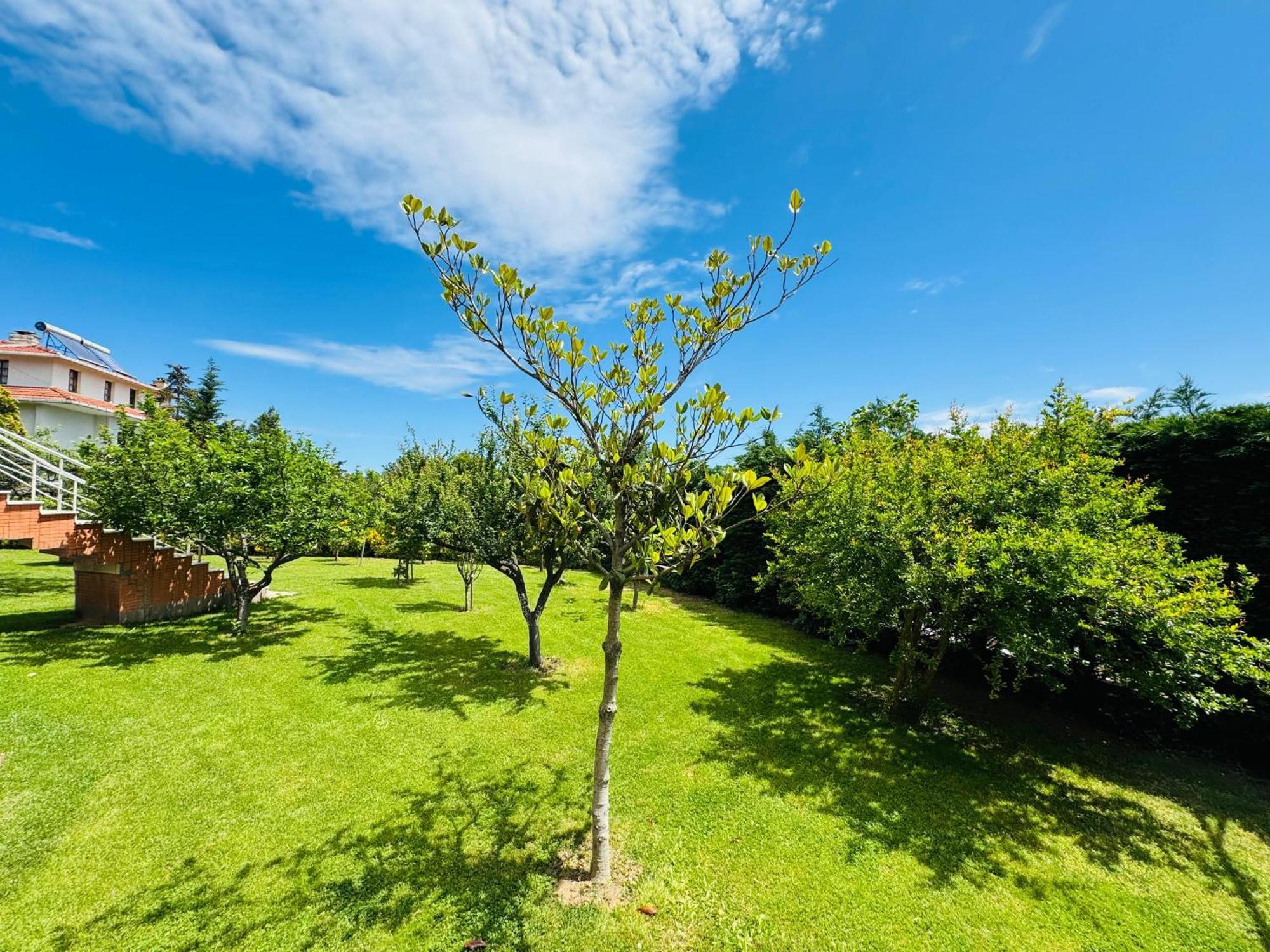 Treekos Istanbul Airport Hotel