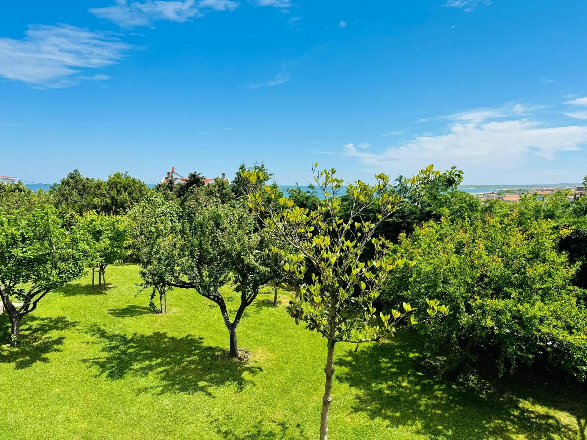 Otel Treekos Istanbul Airport Arnavutkoy